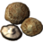 SR-icon-ingredient-Mora Tapinella.png